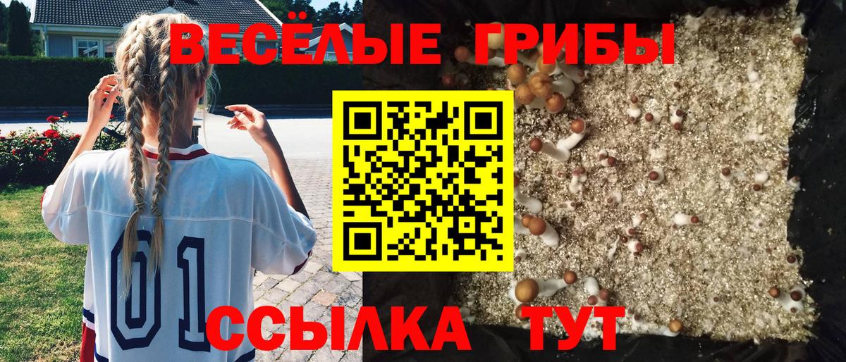 Галлюциногенные грибы MAGIC MUSHROOMS Кириши