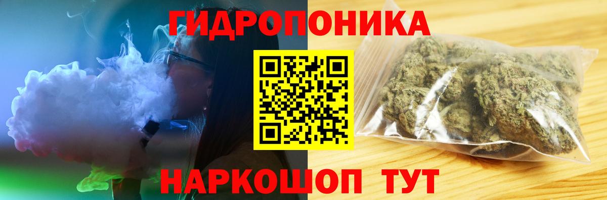 Конопля план Кириши